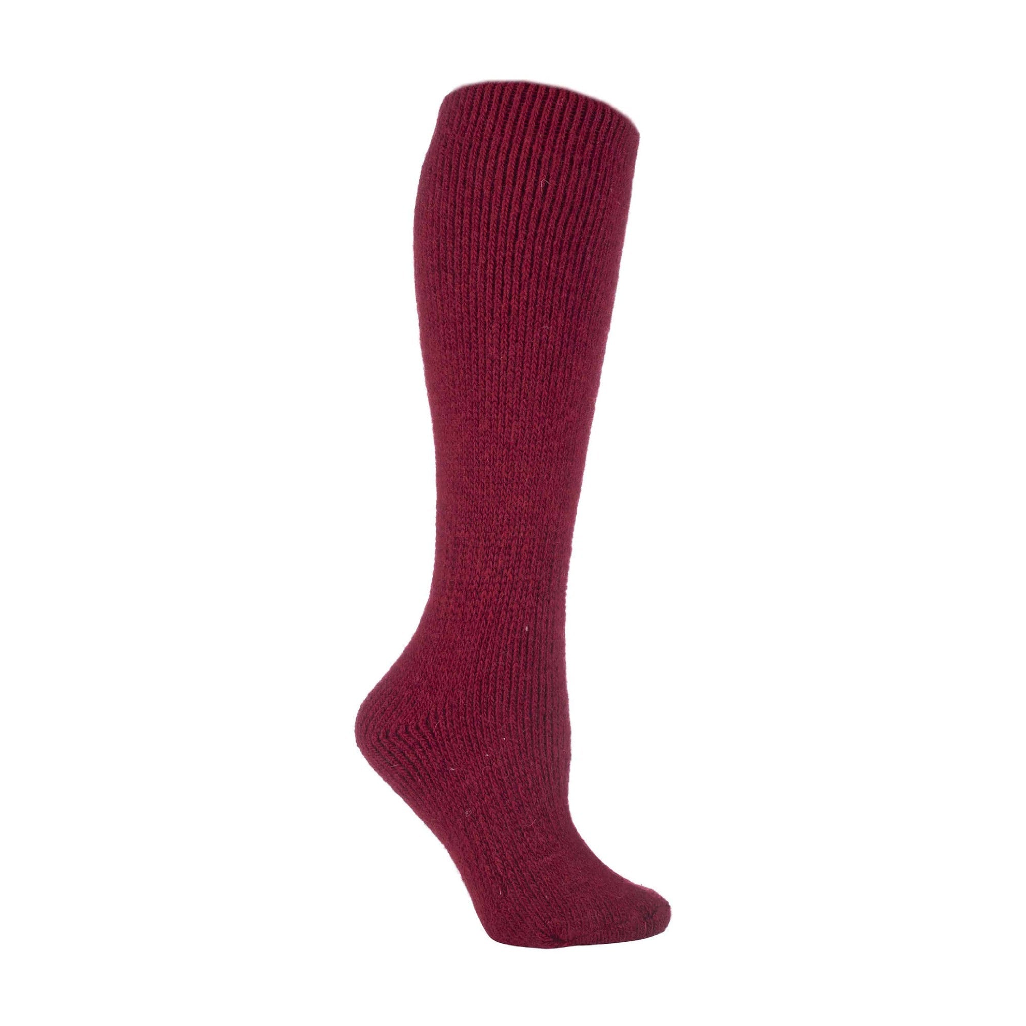 Heat Holders Womens Extra Long 2.7 TOG Knee High Wool Rich Thermal Socks