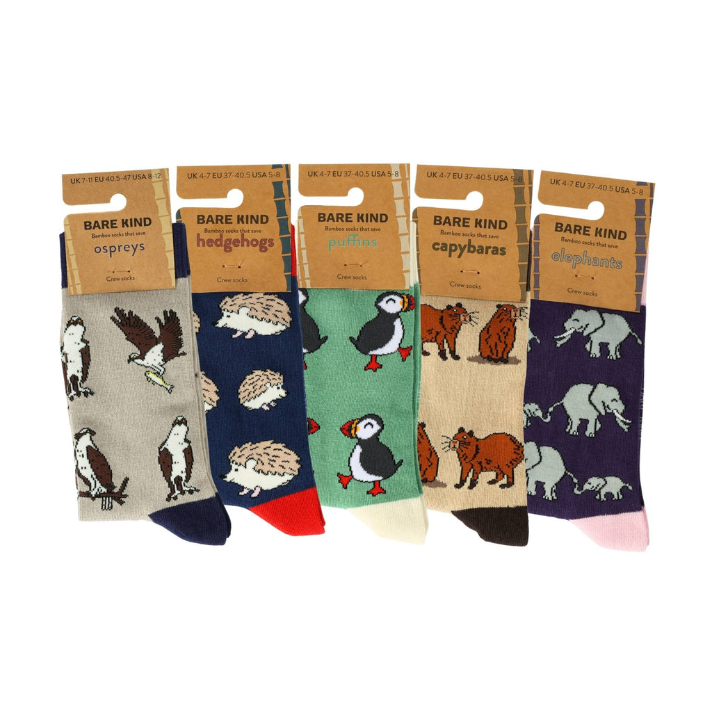 Bare Kind Bestsellers 5 Pack Bamboo Sock Set