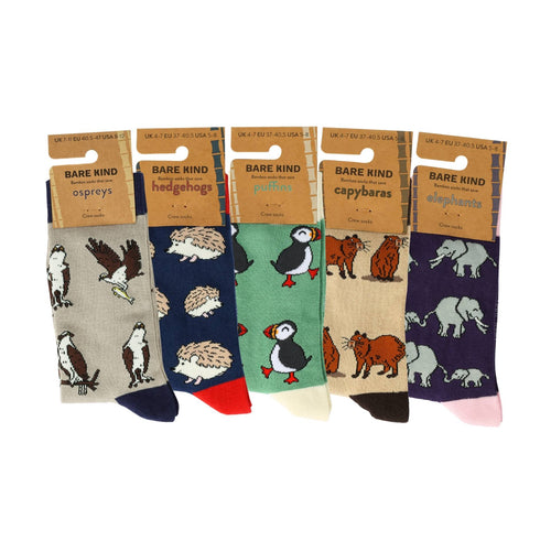 Bare Kind Bestsellers 5 Pack Bamboo Sock Set