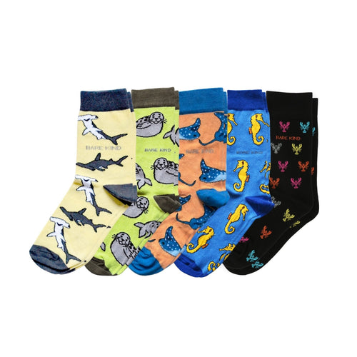 Bare Kind Ocean Rainbow 5 Pack Bamboo Sock Set