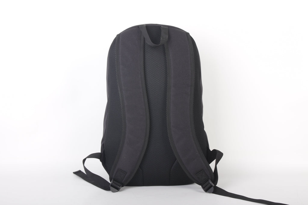 North Peak Ascend Backpack back view