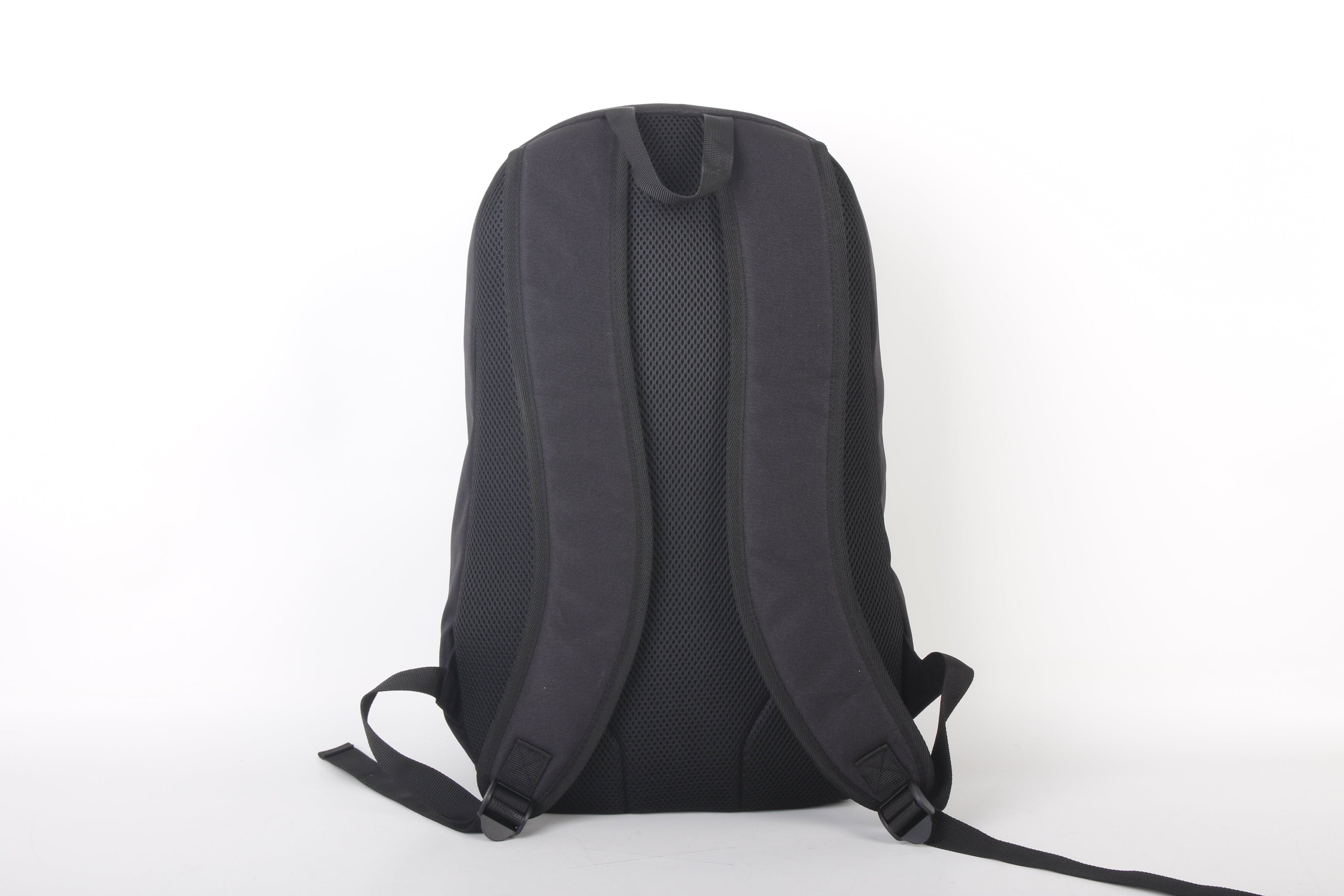 North Peak Ascend Backpack back view