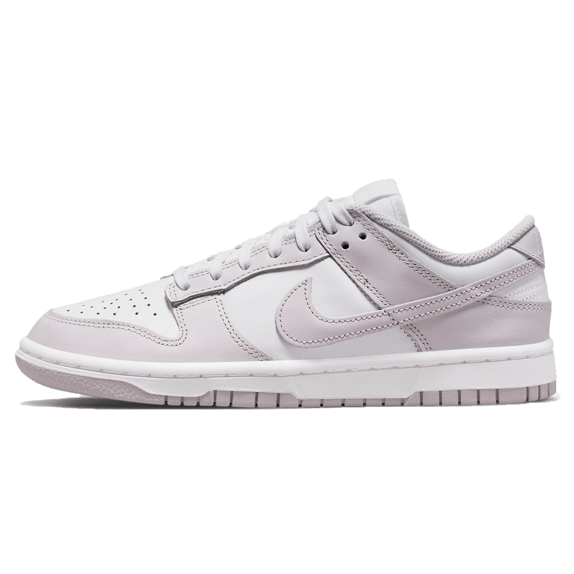 Nike Dunk Low Venice Womens Trainers