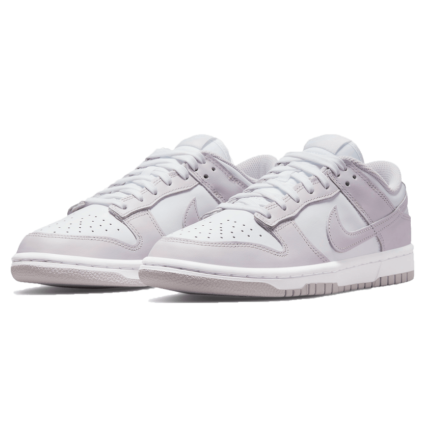 Nike Dunk Low Venice Womens Trainers