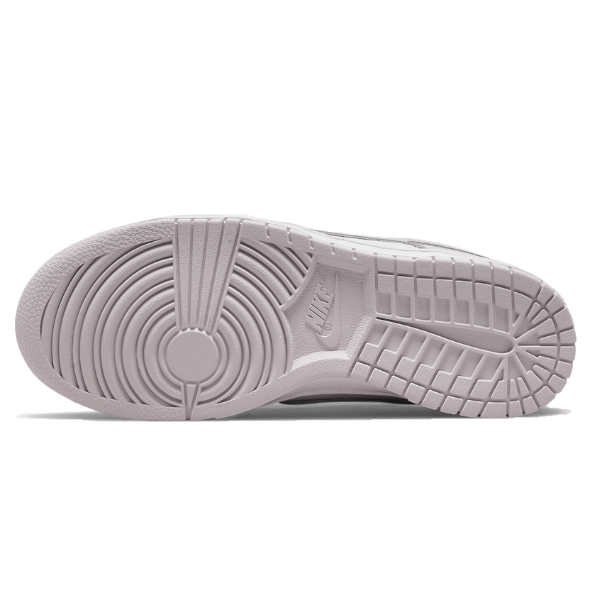 Nike Dunk Low Venice Womens Trainers