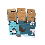 Bare Kind The Frozen Friends Bundle of 3
