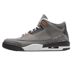 Air Jordan 3 Retro Cool Grey 2021 Trainers