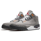 Air Jordan 3 Retro Cool Grey 2021 Trainers