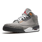 Air Jordan 3 Retro Cool Grey 2021 Trainers
