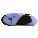 Air Jordan 5 Retro Moonlight Trainers