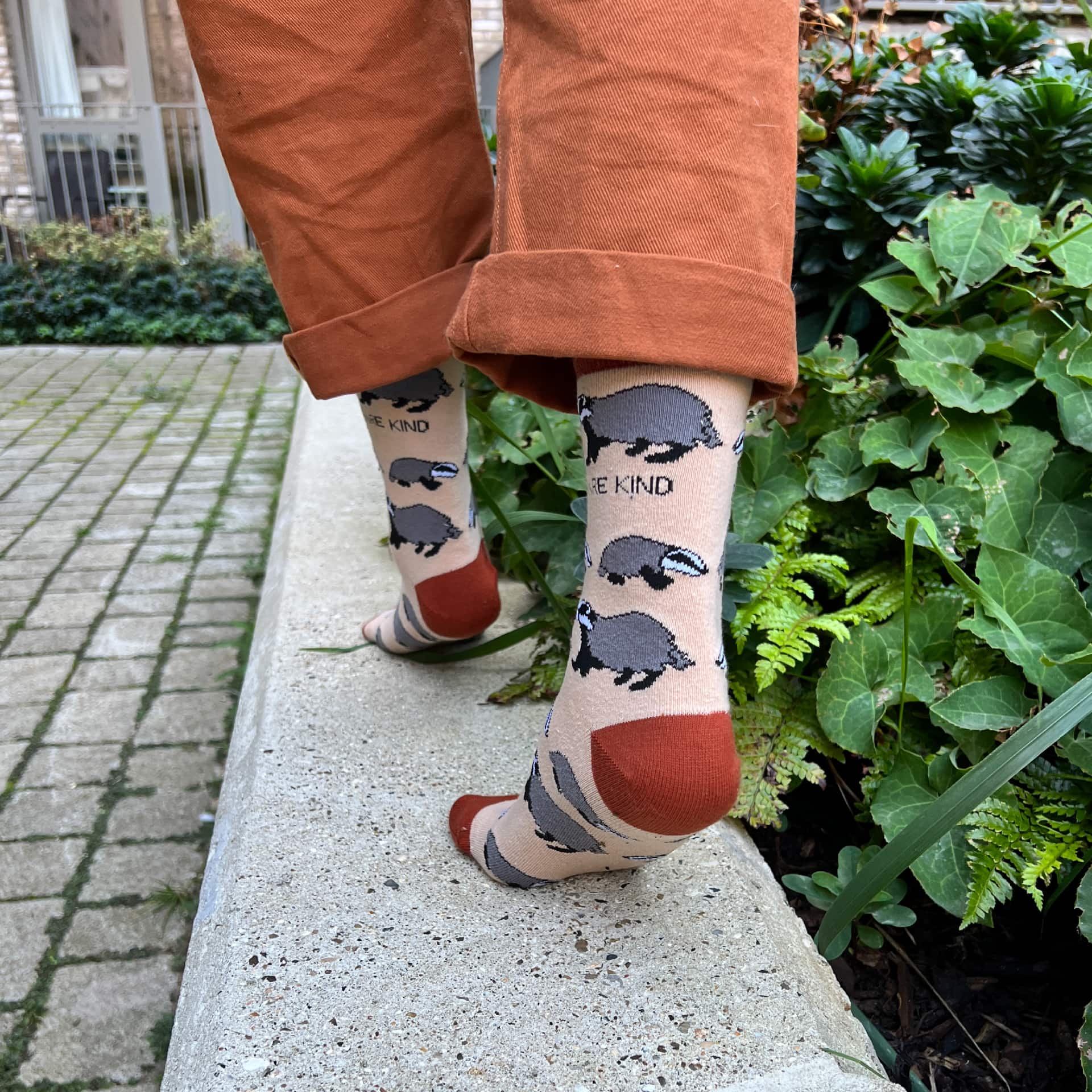Bare Kind Save the Badgers Bamboo Socks