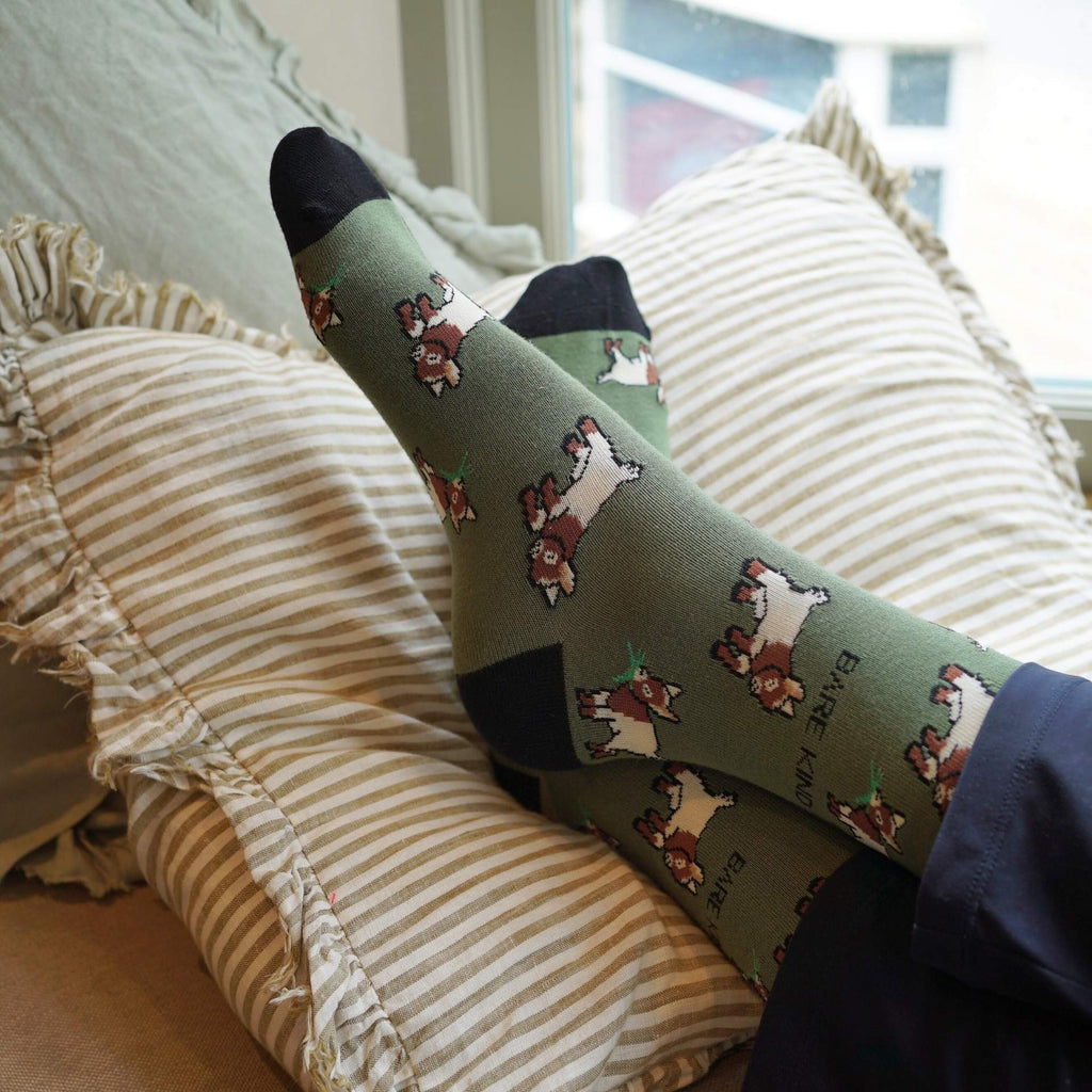 Bare Kind Farm Rainbow Bundle of 4 Bamboo Sock Set