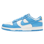 Nike Dunk Low Coast Womens Trainers