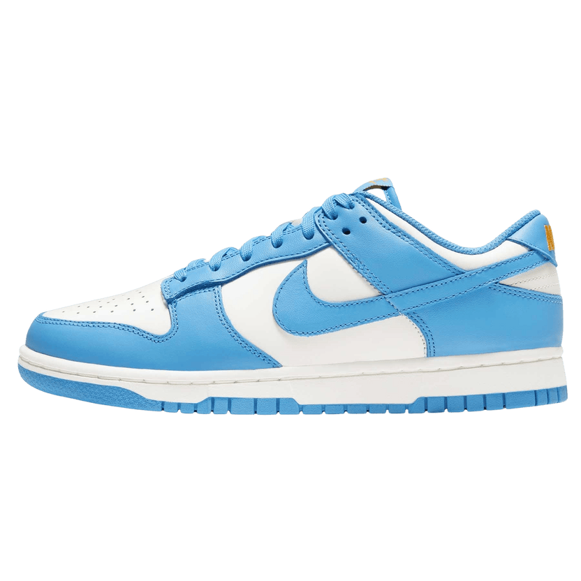Nike Dunk Low Coast Womens Trainers