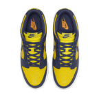 Nike Dunk Low Michigan Trainers