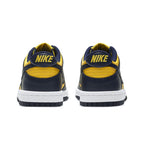 Nike Dunk Low Michigan Trainers