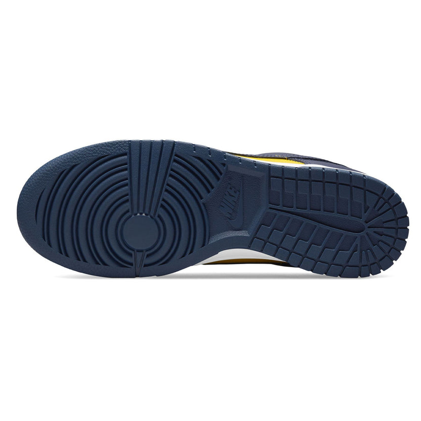 Nike Dunk Low Michigan Trainers