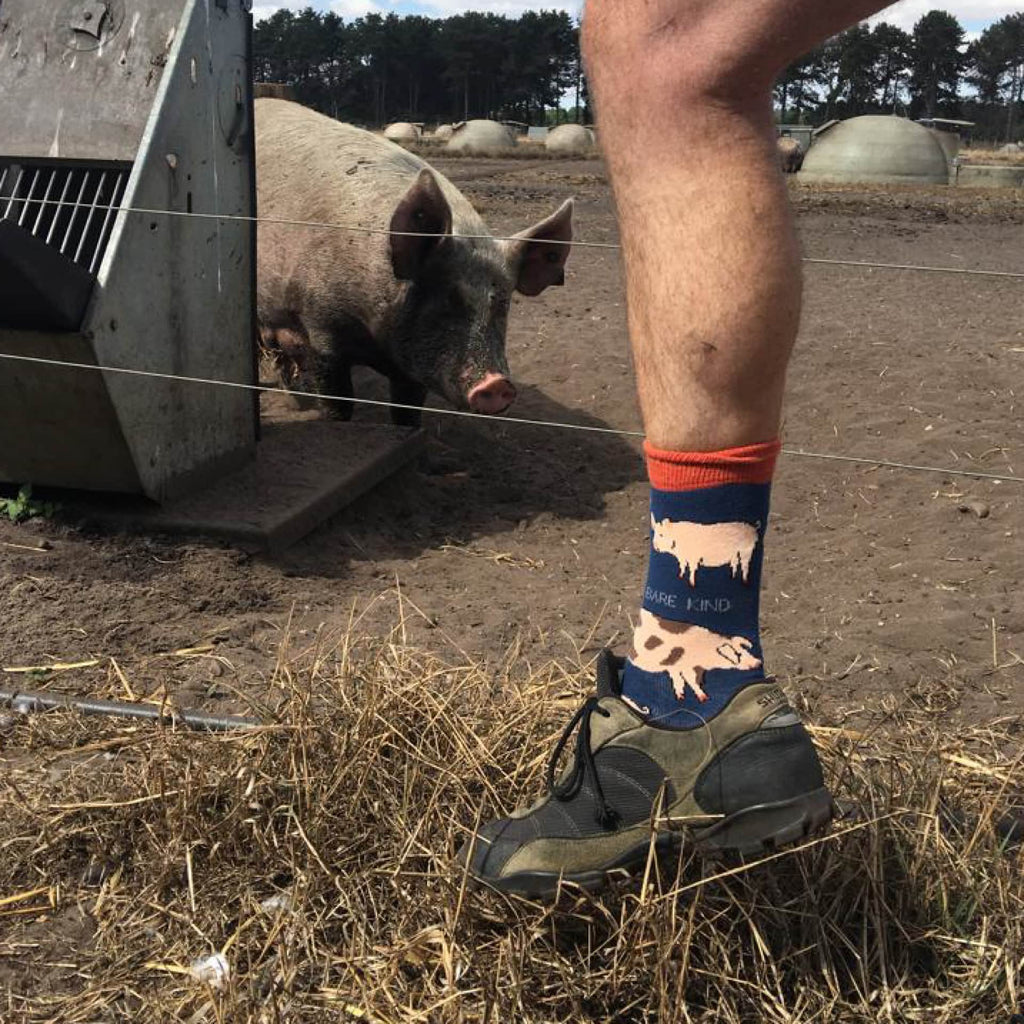 Bare Kind Farm 4 Pack Bamboo Sock Set