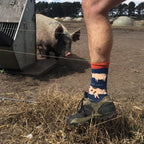 Bare Kind Farm 4 Pack Bamboo Sock Set