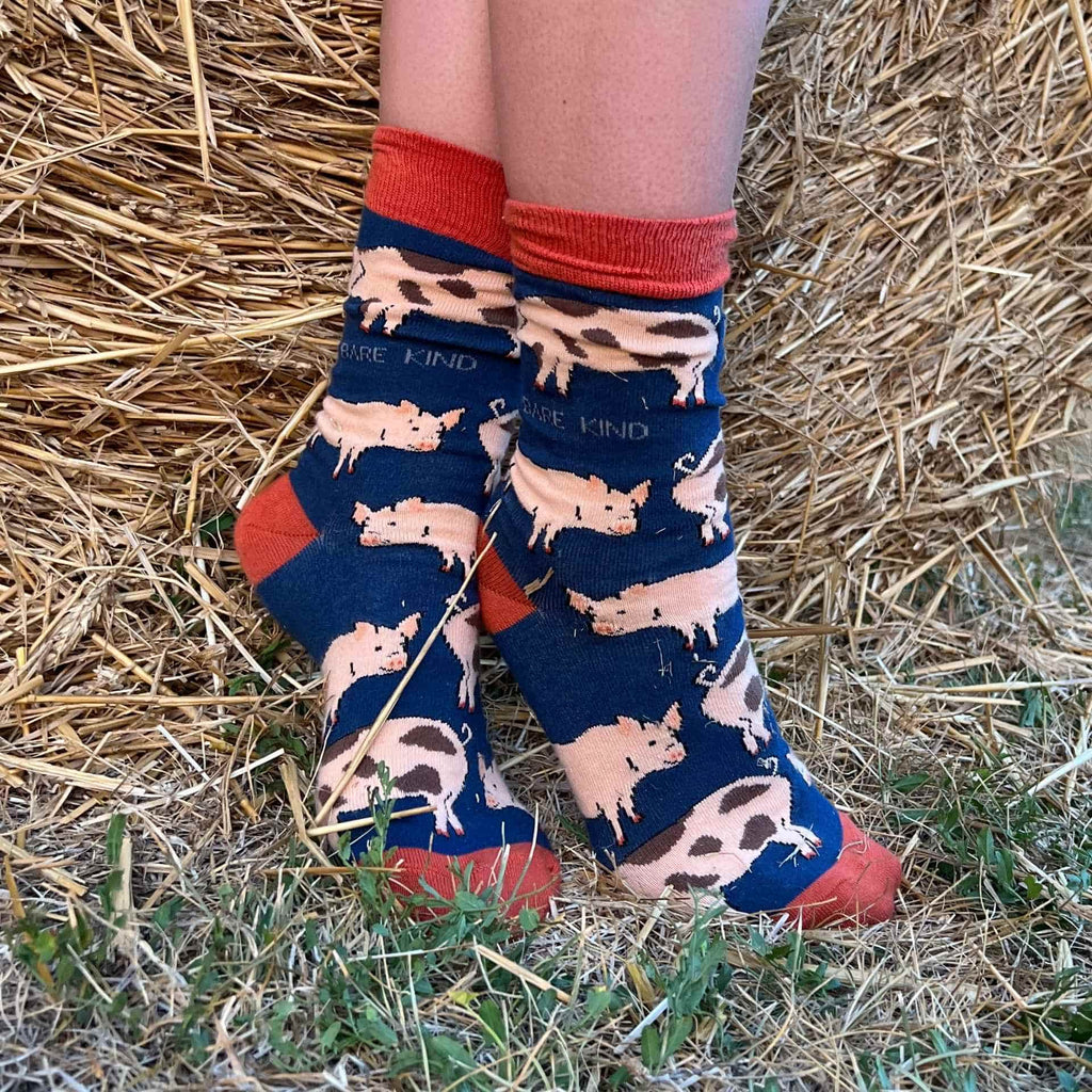 Bare Kind Farm Rainbow Bundle of 4 Bamboo Sock Set